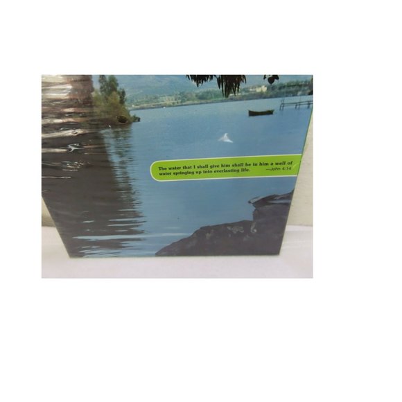 550pc Jordan River Puzzle Vintage 1990 SEALED Christian J. David Lang 18" x 24" - Picture 8 of 8